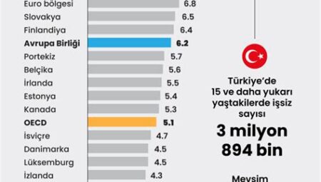 İşsizlik Oranları ve İstihdam Sorunları: Türkiye Ekonomisindeki Belirleyici Faktörler