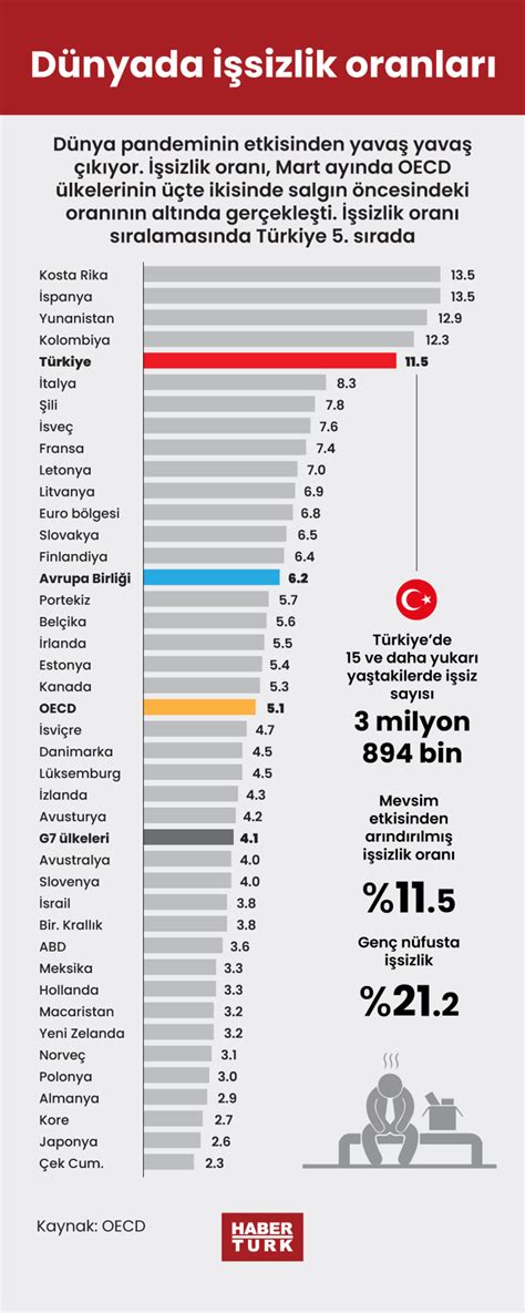 İşsizlik Oranları ve İstihdam Sorunları: Türkiye Ekonomisindeki Belirleyici Faktörler