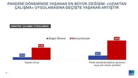 Pandemi Döneminde Maaşlar: Uzaktan Çalışma ve Ekonomik Etkiler